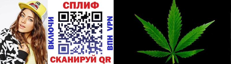 Канабис планчик Лермонтов